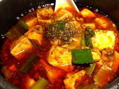 -陈麻婆豆腐总店