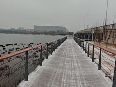 -天津滨海圣光皇冠国际酒店