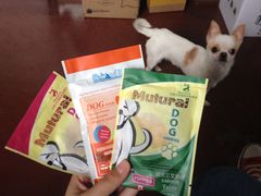 -爱宠屋pet shop·宠物洗澡·宠物美容