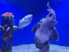-南昌融创海世界