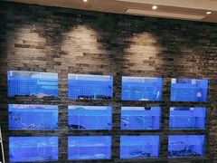 -聚宝渔港.五钻酒家(上地店)