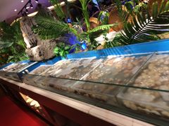 -大蟹天下海鲜自助