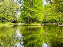 -上海共青森林公园