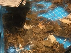 -星伦多自助料理(江阴万达店)
