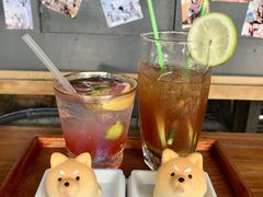 -柴犬高等学院·狗咖·柴犬售卖·宠物训练