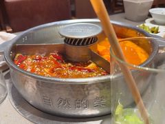 -巴奴毛肚火锅(大剧院店)