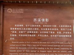 -大兴滨河森林公园