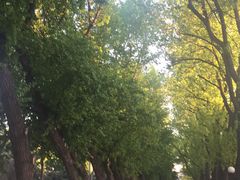 -二一九公园