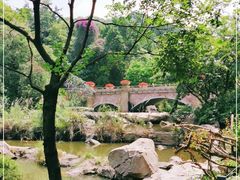 -云溪植物园