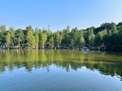 -番禺大夫山森林公园