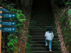 -沐川竹海旅游景区