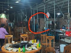 -桃源山庄·水蜜桃采摘·柴火鸡·烧烤团建(龙泉山店)
