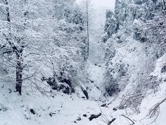 -太阳湾风景区
