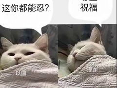 -快乐小羊火锅(河西王府井店)