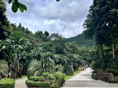 -深圳仙湖植物园
