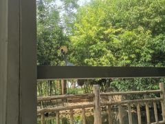 -石家庄市动物园