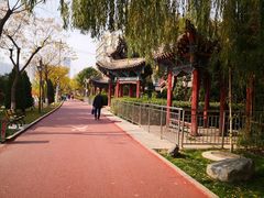 -雁滩公园