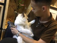 -咖法森林·咖啡  酒吧(天河店)