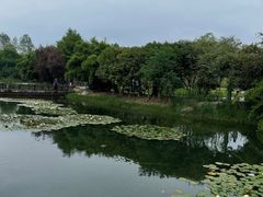 -洋湖国家湿地公园