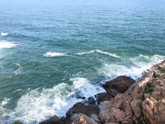 -广东惠东海龟国家级自然保护区