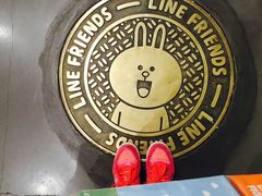 -LINE FRIENDS Garosu-gil Flagship Store