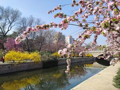 -元大都城垣遗址公园