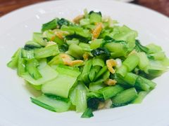 -九十九顶毡房(清河店)