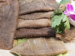 鲜毛肚-重庆渝达老火锅(春熙路店)