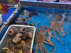 -俏东方·海味水饺·青岛菜(崂山店)