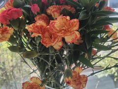 -春暖花开(西溪店)