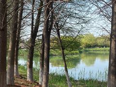 -苏州太湖国家湿地公园