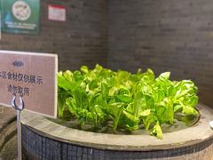 -汉来海港·海鲜自助餐厅(上海七宝领展广场店)