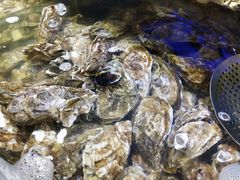 -四海蒸鲜蒸汽海鲜自助(北戴河店)