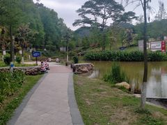 -中山市树木园