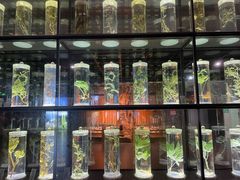 -广东中医药博物馆