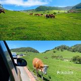 西安向西两百多公里，去追逐25°的夏天