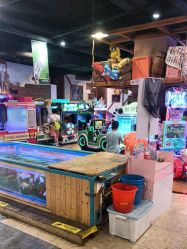 -卡通尼·Safari非洲探索乐园·生日会(金桥国际商业广场店)