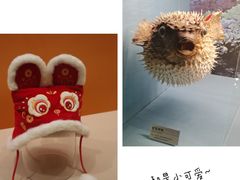 -常州博物馆