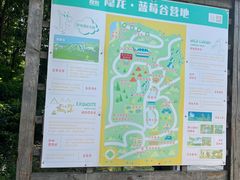 -金石滩蓝莓谷庄园
