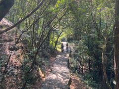 -武夷山风景名胜区-虎啸岩