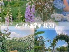-猫米花园