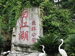 -广州白江湖森林公园