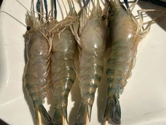 -顺峰顺水顺德菜(龙华店)