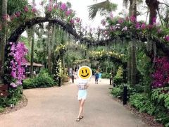 -新加坡飞禽公园