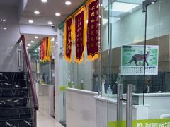 -瑞鹏宠物医院华南总院·夜诊·心脏科·骨科