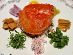 -子福慧(虹桥店)