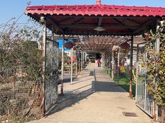 -小鱼草莓采摘园农家乐·小鱼餐厅