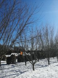 -优沃得自然教育农场·冰雪乐园·生日会·研学