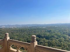 -灵谷景区