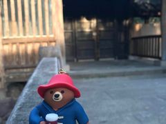 -COSTA COFFEE(上海月星环球港店)